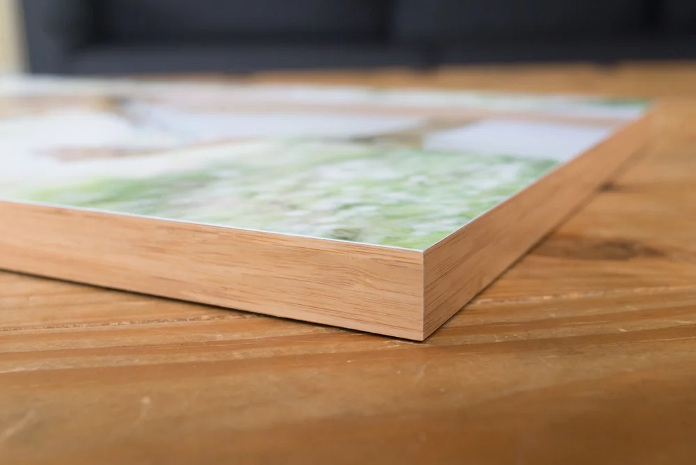 standout-image-edge-bamboo.jpg
