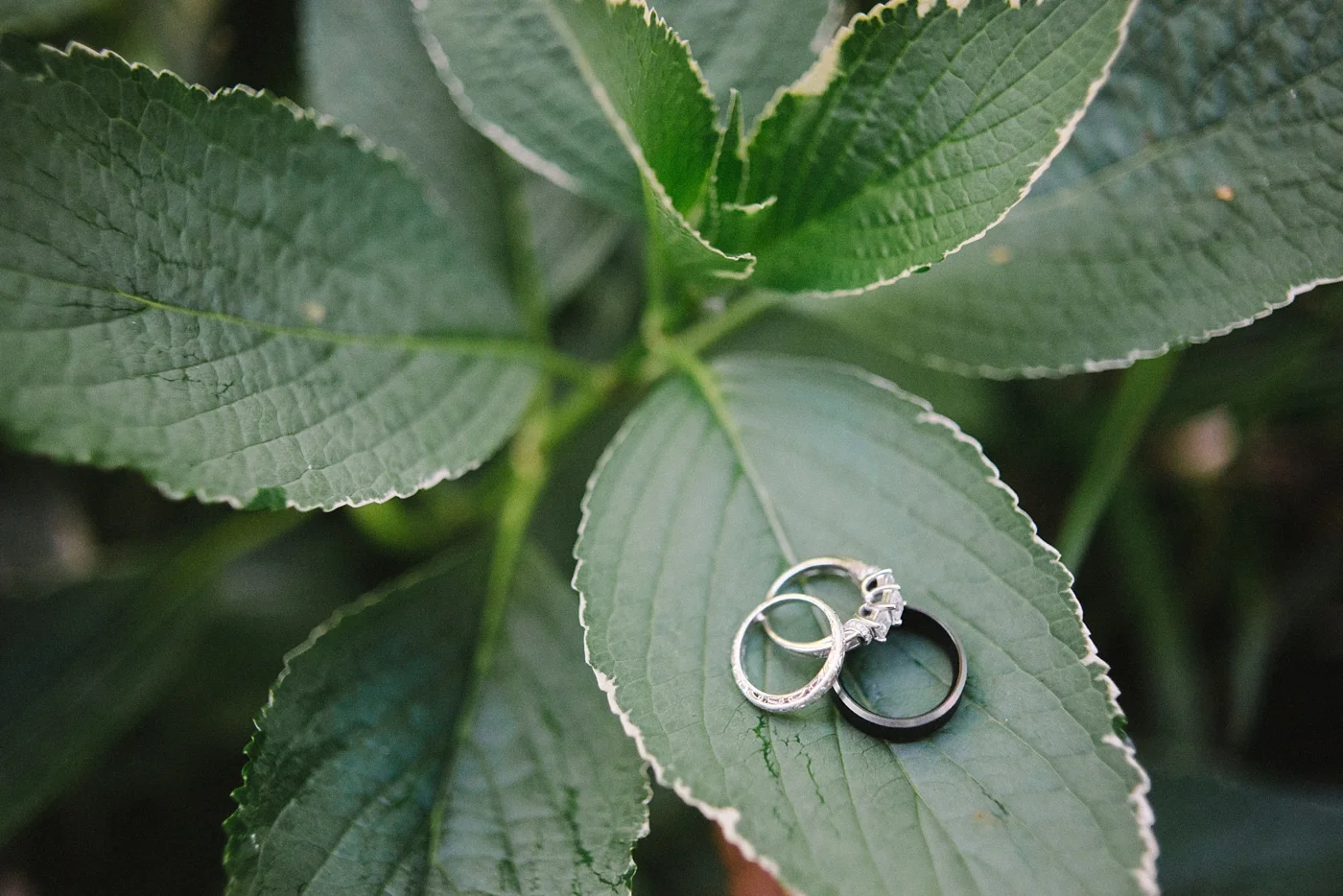 Stefan & Rachel McMenamins Edgefield Wedding — Portland Wedding