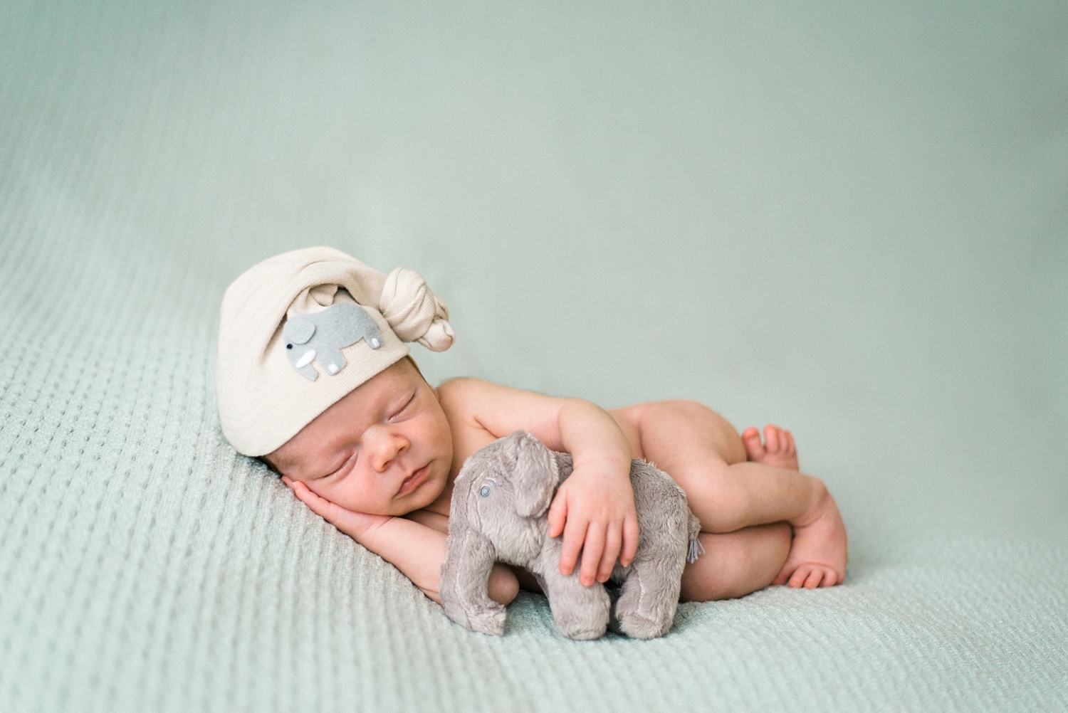 best-portland-oregon-newborn-photographer-sleeping-baby-boy-cuddling-with-elephant-stuffed-animal-shelley-marie-photography-40.jpg