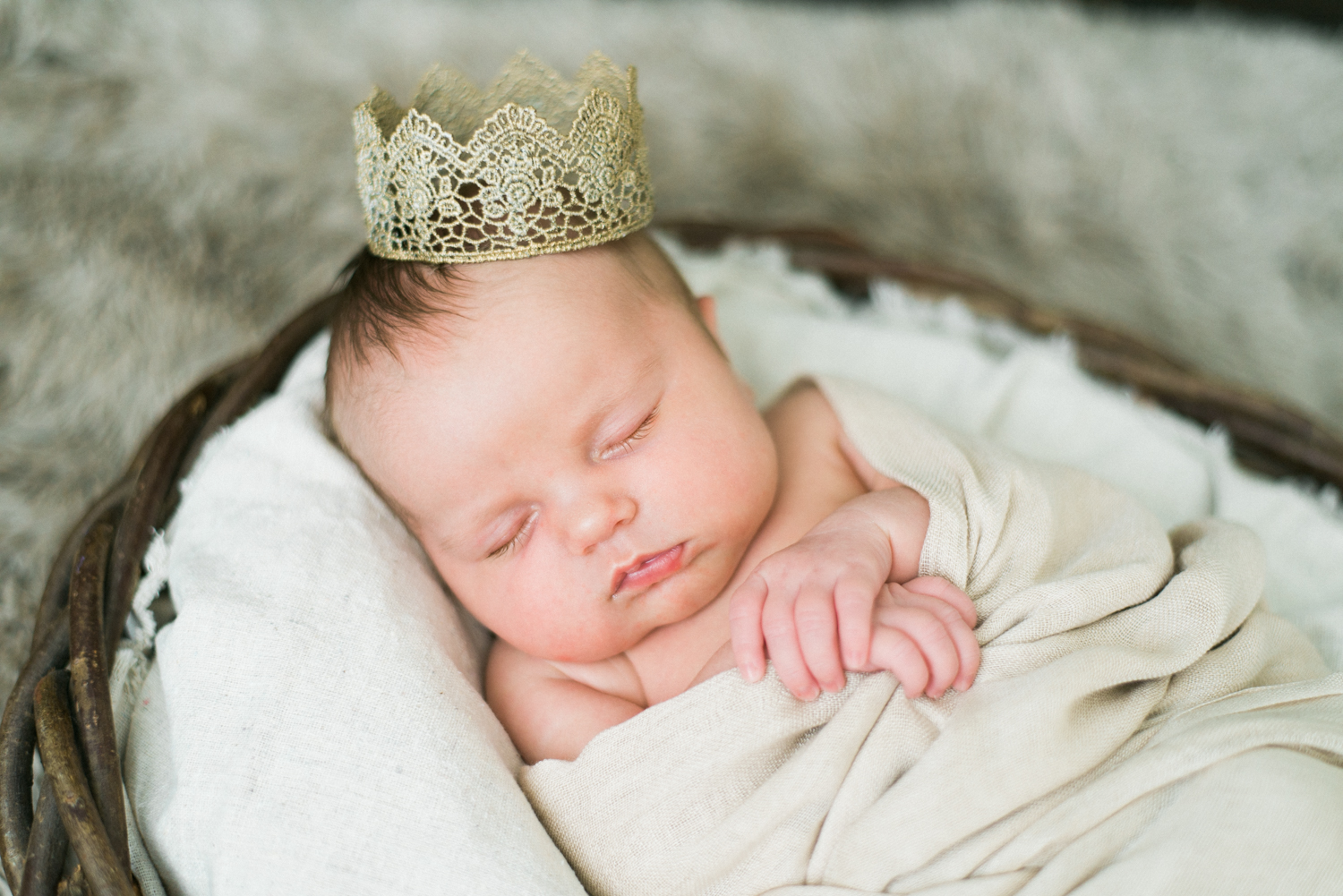 portland-newborn-photographer-baby-girl-in-princess-crown-shelley-marie-photography-17.jpg