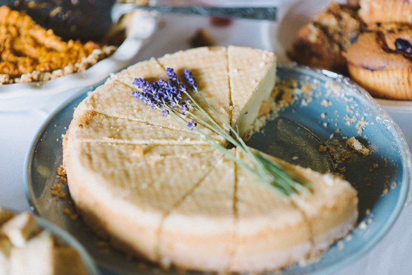 Dorris-Ranch-Springfield-Oregon-Food-Wedding-Cake-Pie-Cheesecake-Potluck-DIY-Nature-Rustic-Portland-Natural-Light-Photographer-Shelley-Marie-Photography-1.jpg