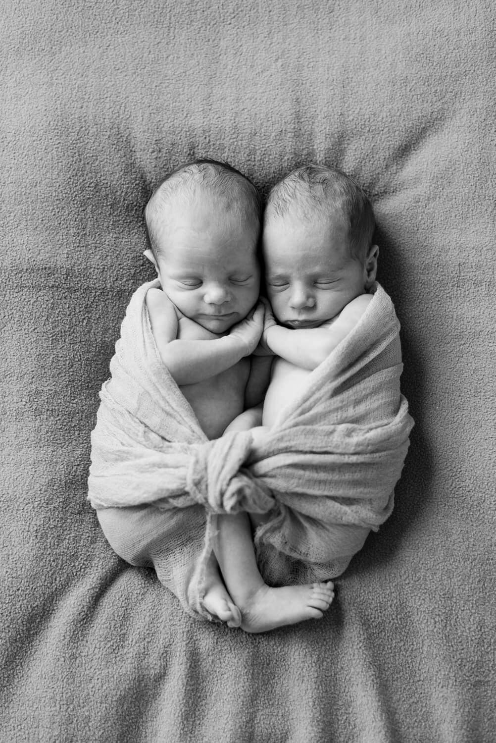 Brooklyn Newborn Photography — Brooklyn, New York Family Photography &  Newborn Photographer, Shelley Marie Photo