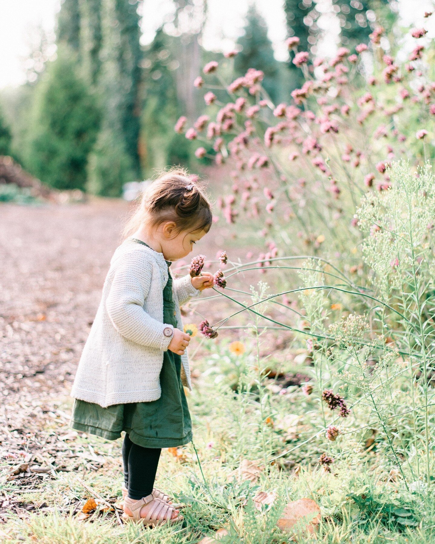 Life is sweet. Take time to smell the flowers along the way.