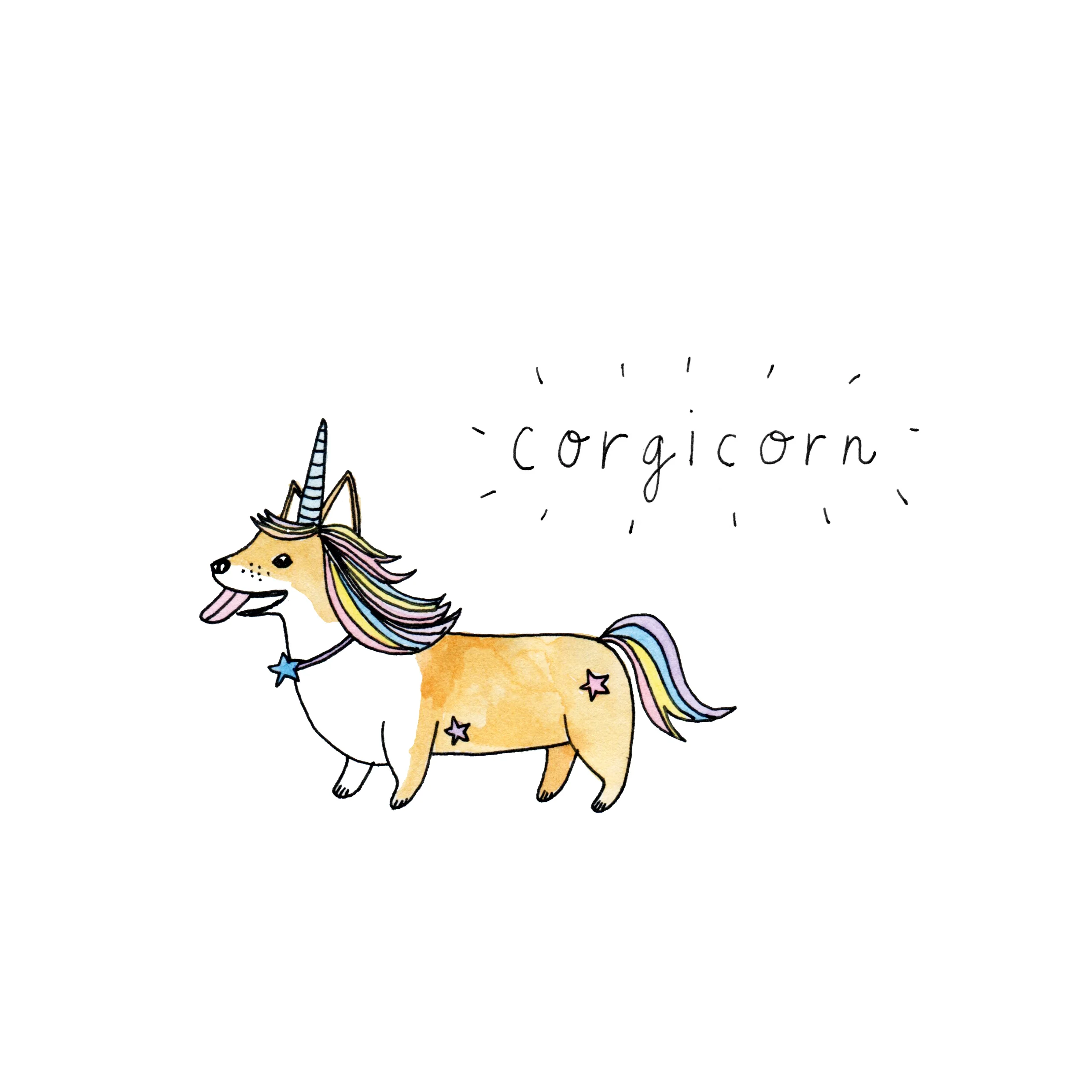 corgi-colour.jpg