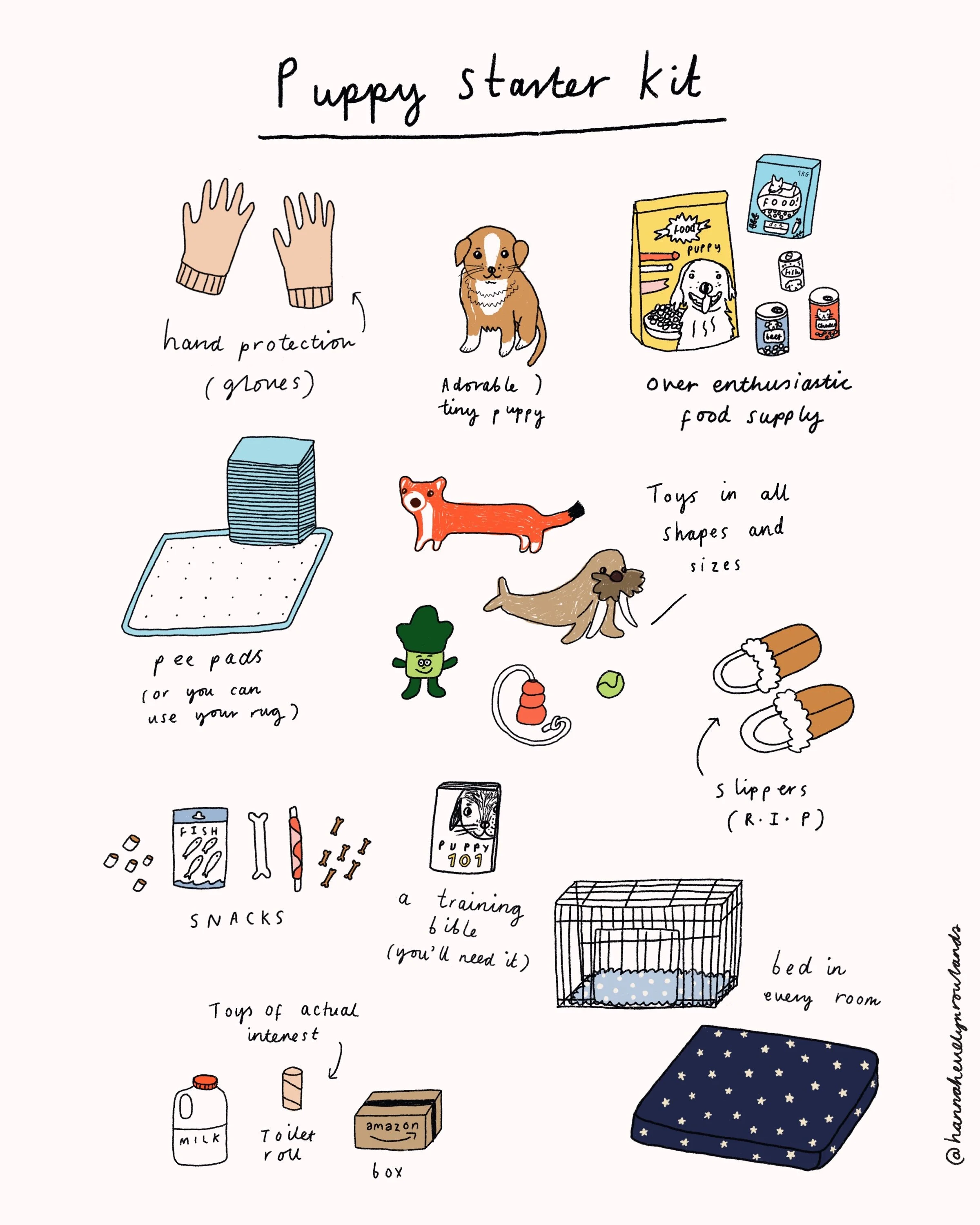  The Puppy Starter Kit  