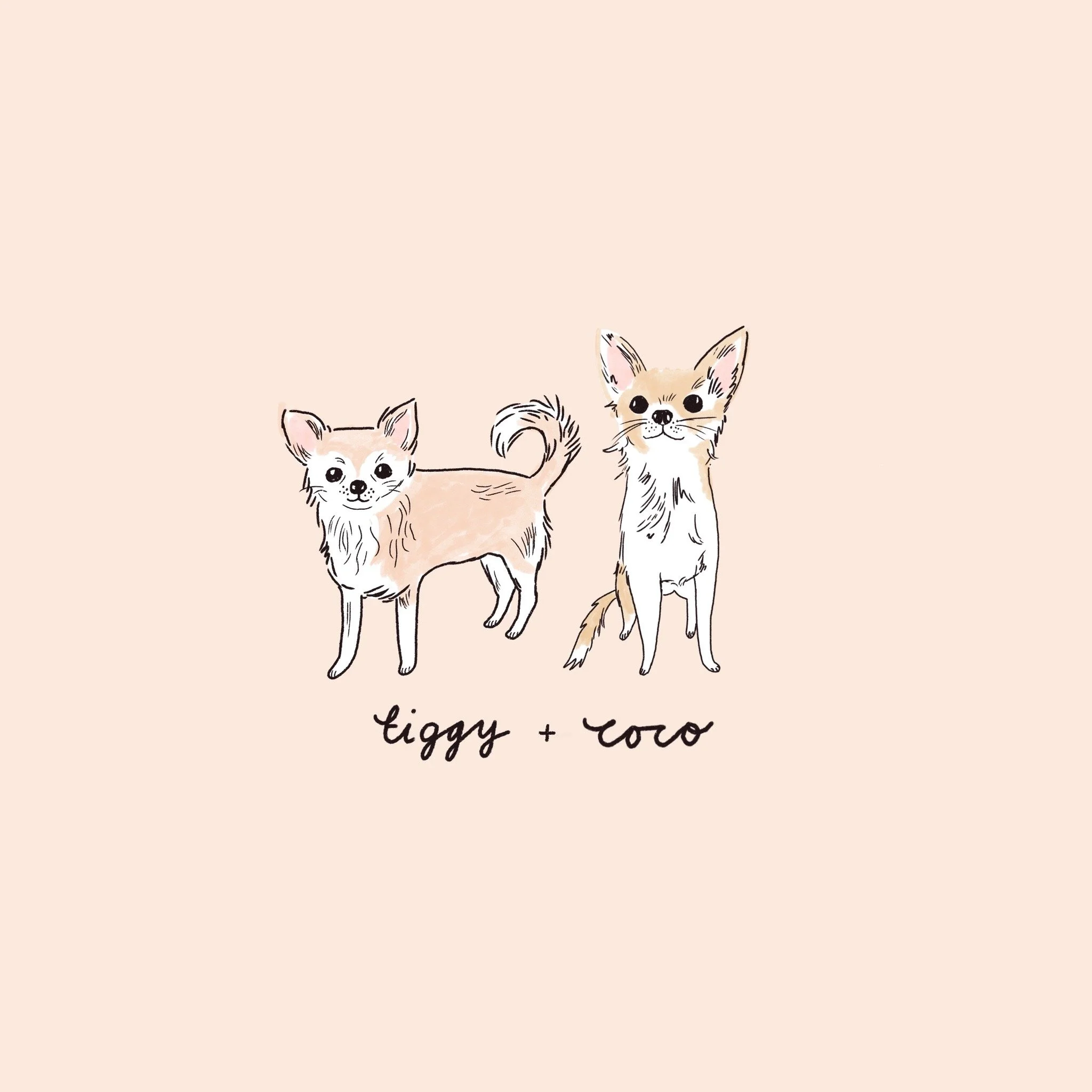  Custom pet portrait 