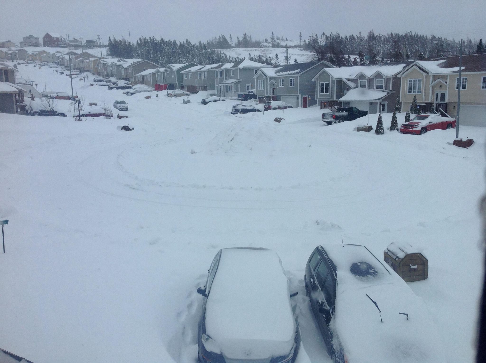 Ah yes. You might wonder sometimes why I write about Newfoundland when this is what it looks like here on April 1. I wish this was an April Fools joke. Alas, it is my reality. 
