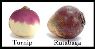 Okay. This is also important. Here is Newfoundland, you'll hear us talk about turnip. A lot. And turnip must go in the pot. BUT when we say turnip, we mean Rutabaga. I think I was about 27 when I learned that the turnip I love isn't a turnip. The turnip we grow, not a turnip. Truth be told, I've never eaten a turnip. And yet, if you ask me my favourite vegetable, I'll tell you proudly that it's turnip. Cause 27 years of conditioning is hard to break. Plus, wouldn't it sound pretentious if I said "If I could be any vegetable in the world, I'd be a rutabaga." Or maybe pretentious isn't the word I mean either. ;) 
