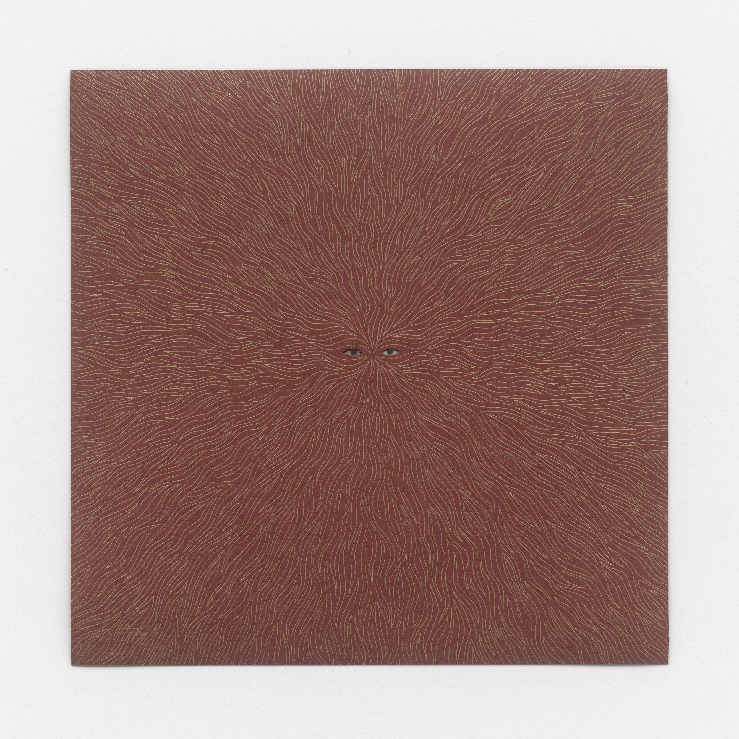 Acoge al fantasma, 2024