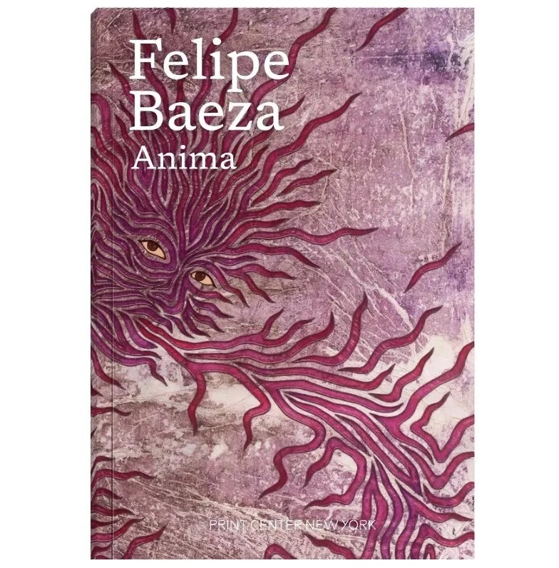 Felipe Baeza: Anima