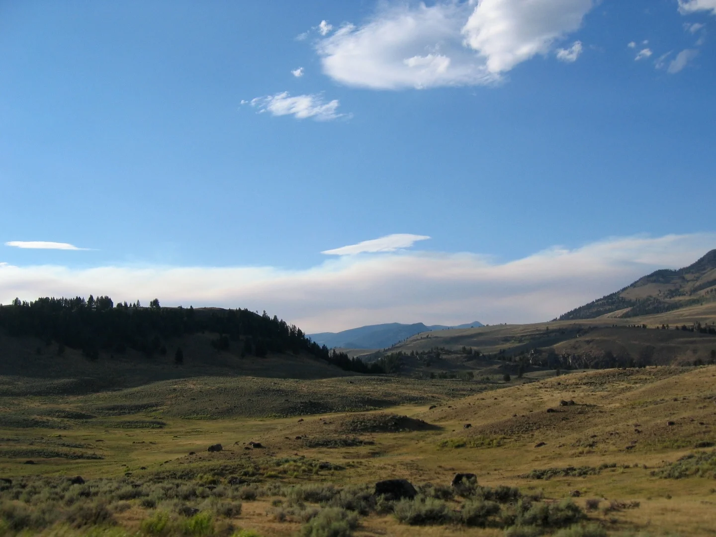 Colorado