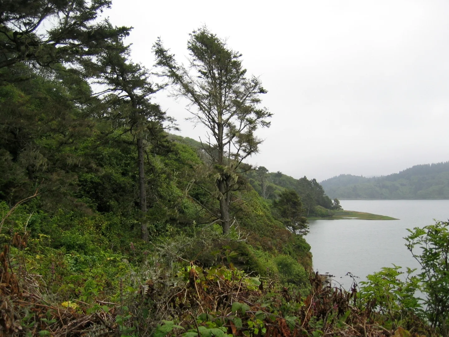 Oregon