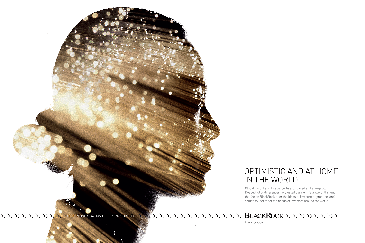 BlackRock_ads (high rez) 4#01 copy.png