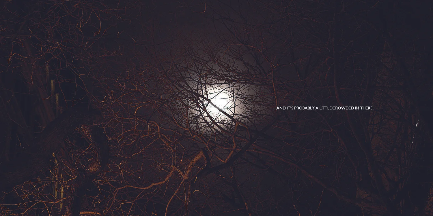 NNALM_9x9 text pages 8_17_10_SPRD35.jpg