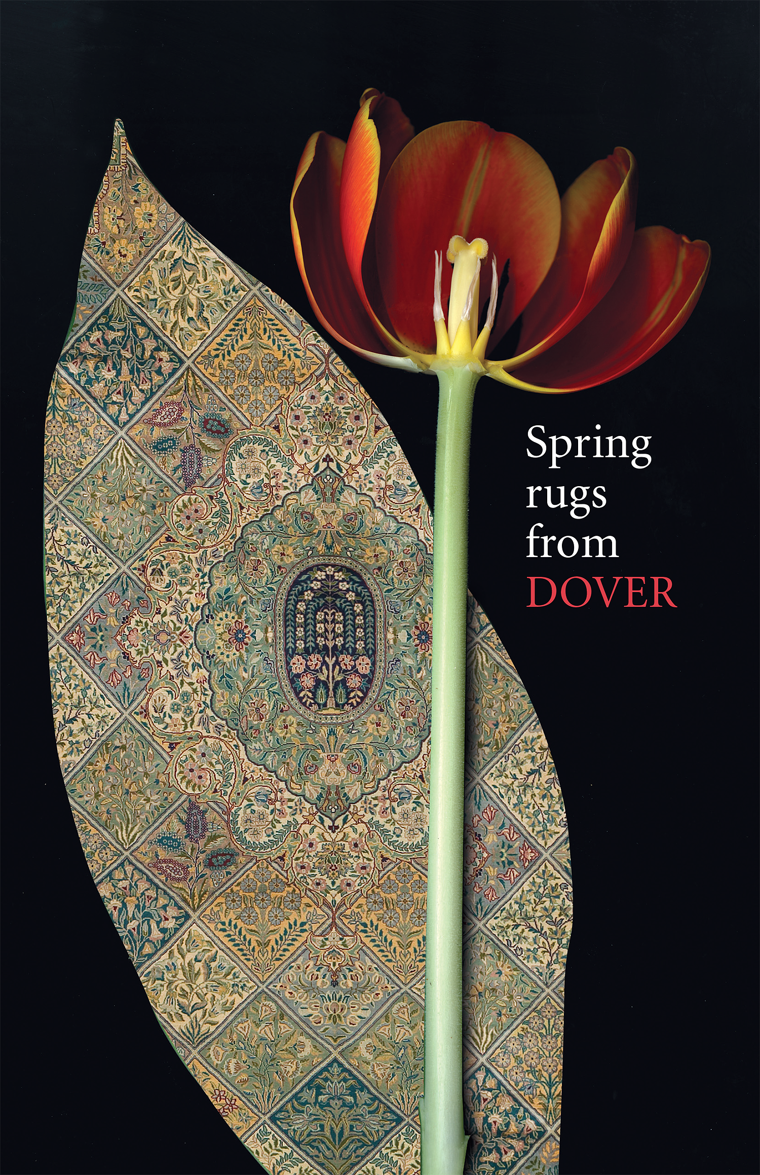 Dover_SpringAd#01 copy.png