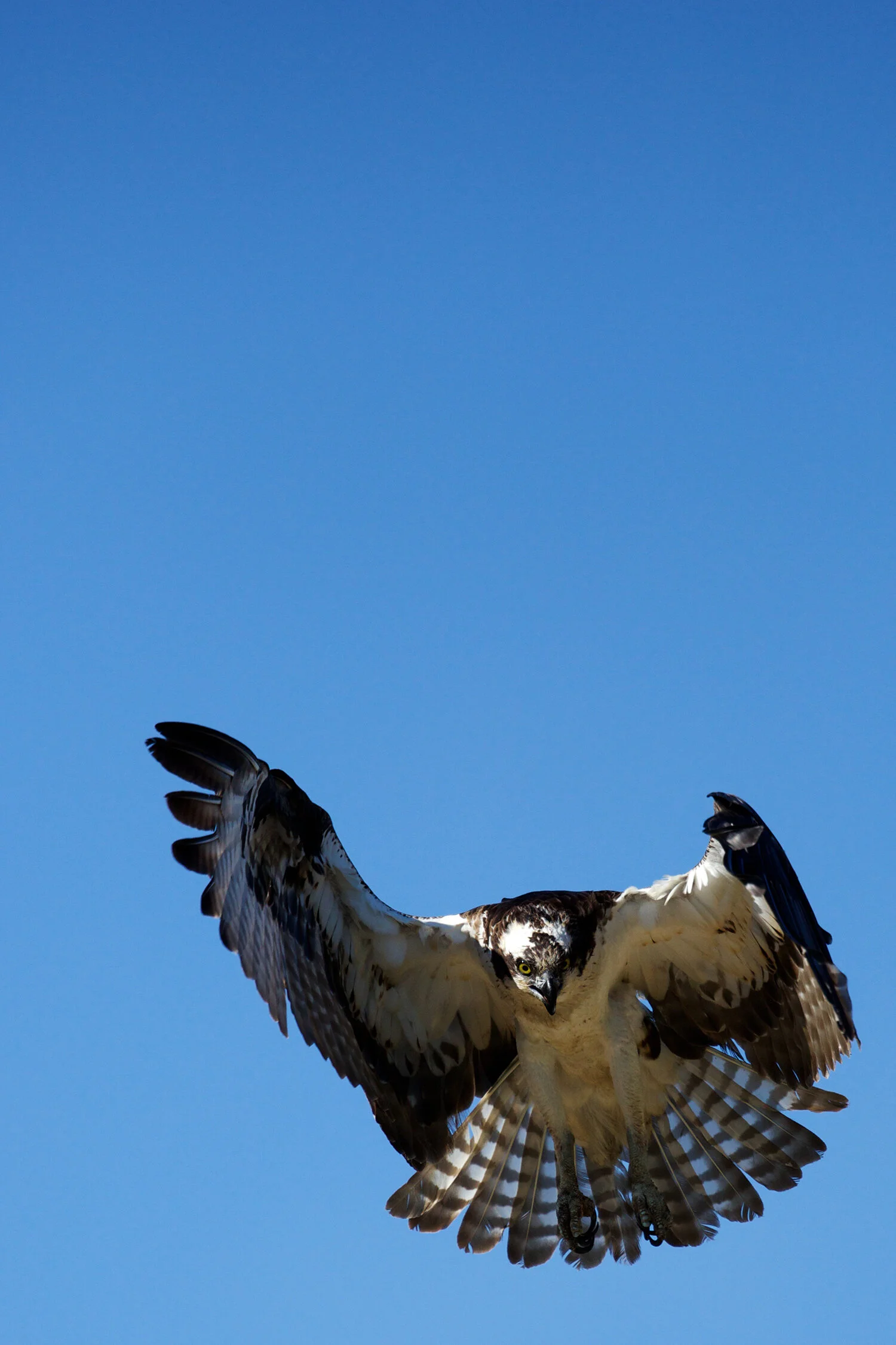 BS3A9757_1500.jpg