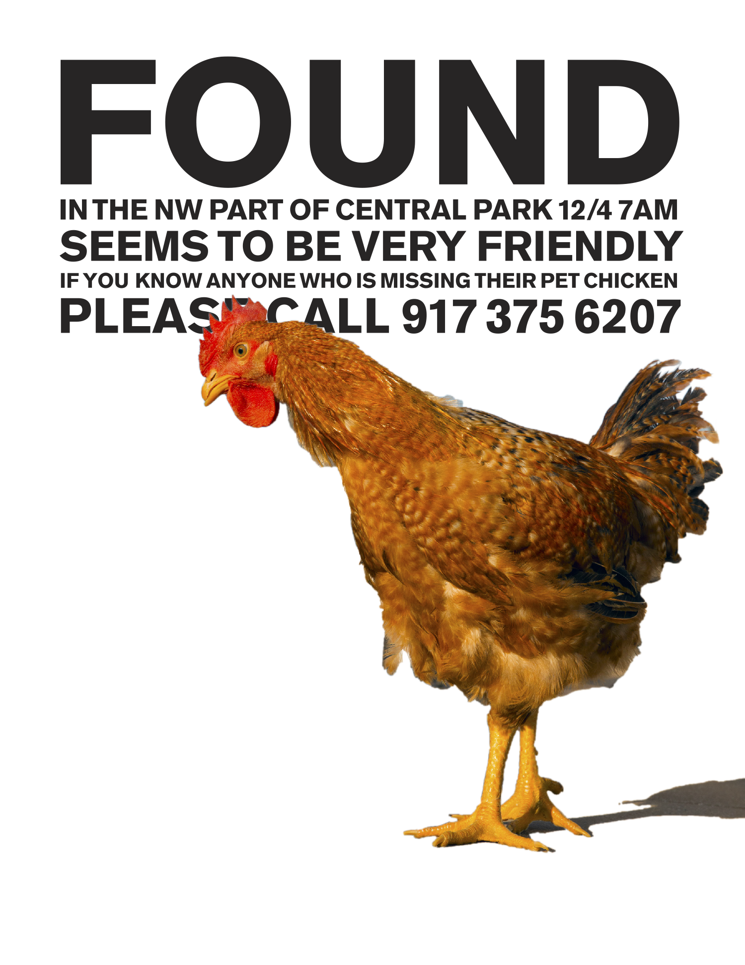 FOUND CHICKEN_high rez-1 white.png