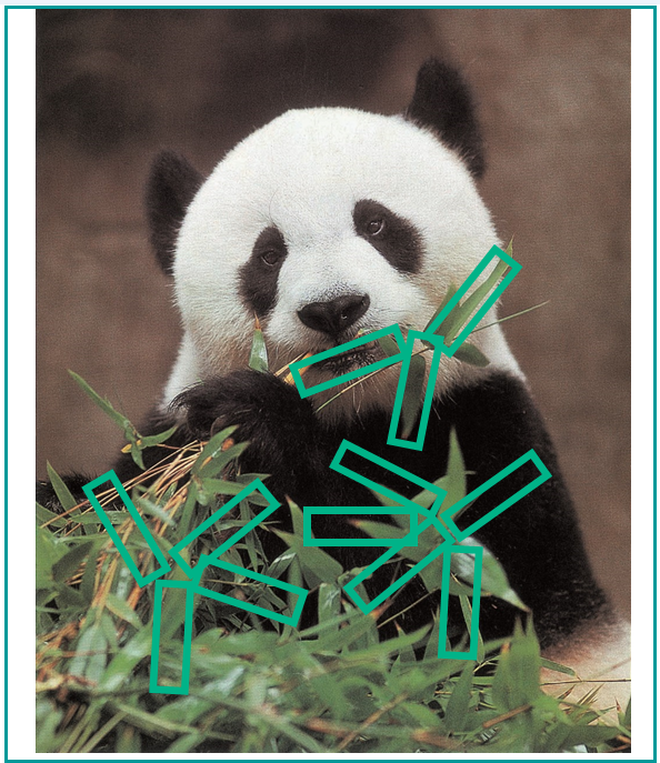 image_023.png