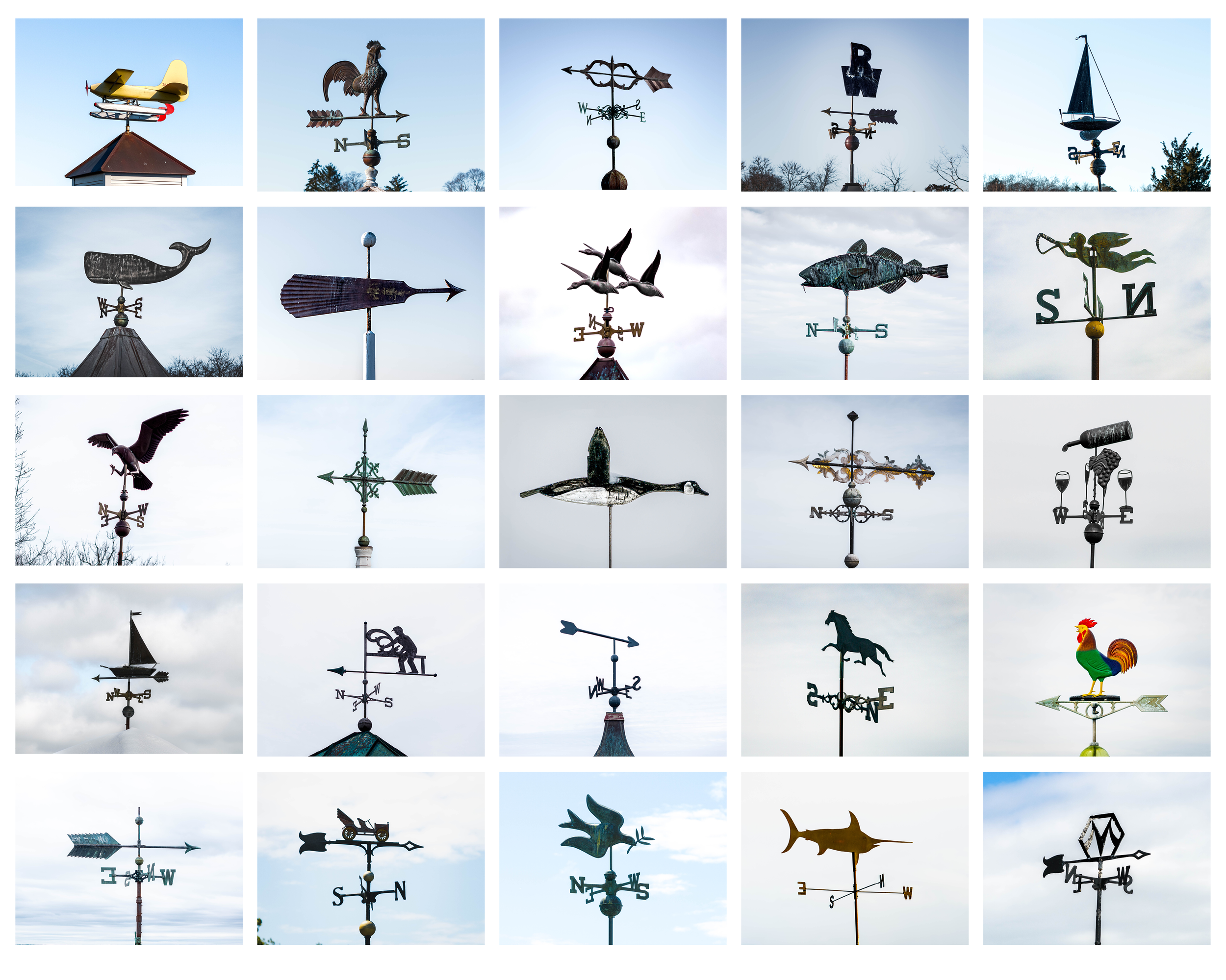 Photo Collect Prints6.png