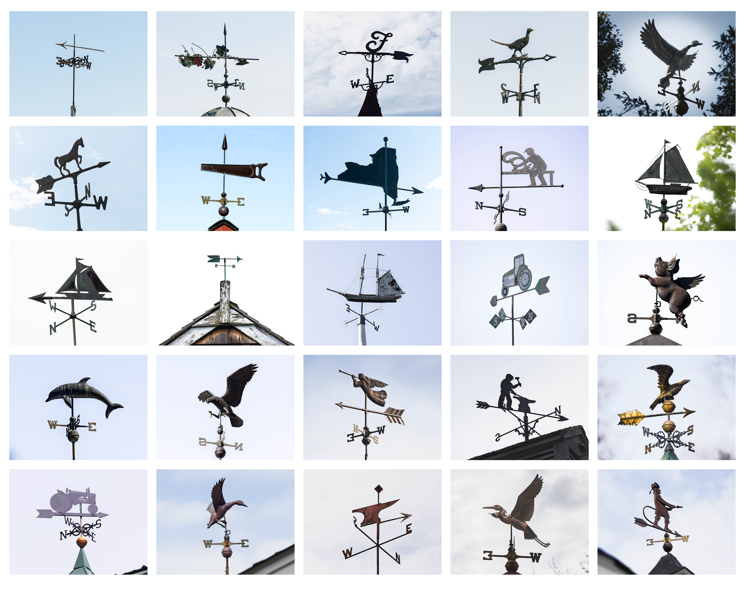 Photo Collect Prints7.png