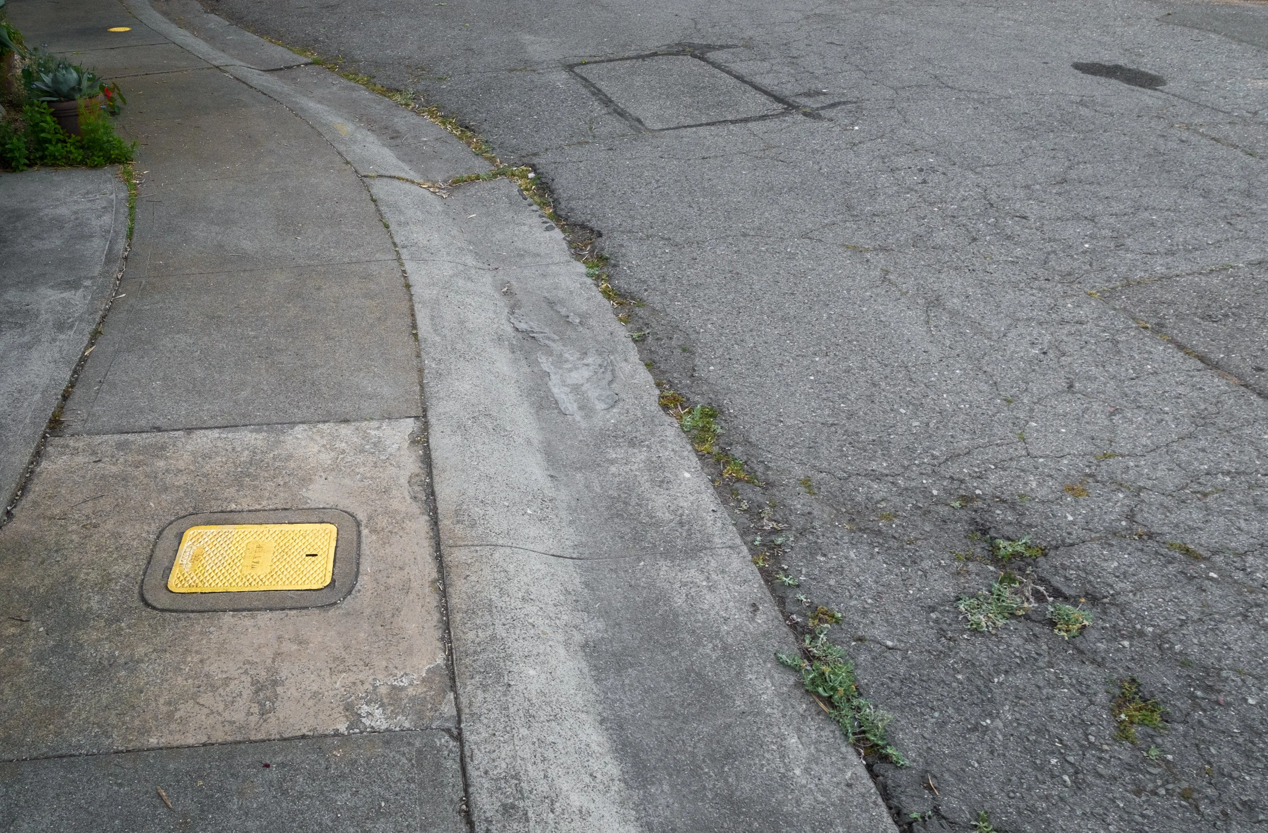 3 acton circle berkeley 180507_-15.jpg