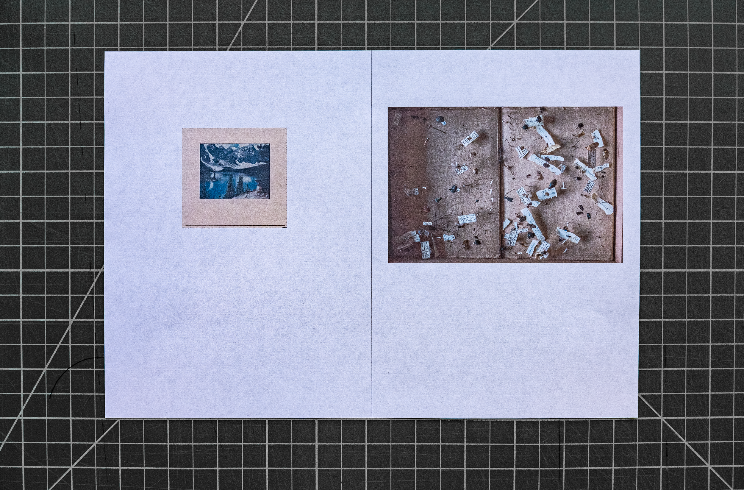Ajo book spreads-5.png