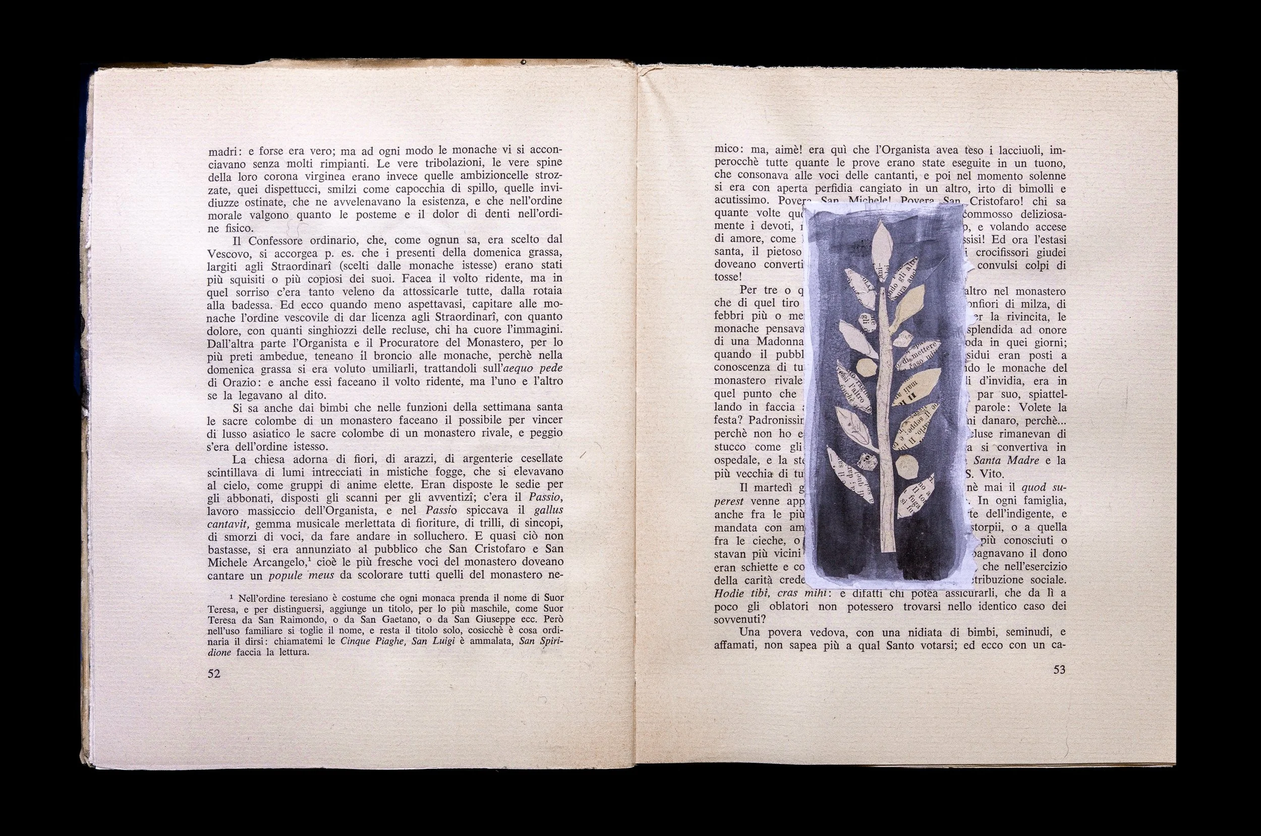 tusa book-26-Edit-Edit.jpg