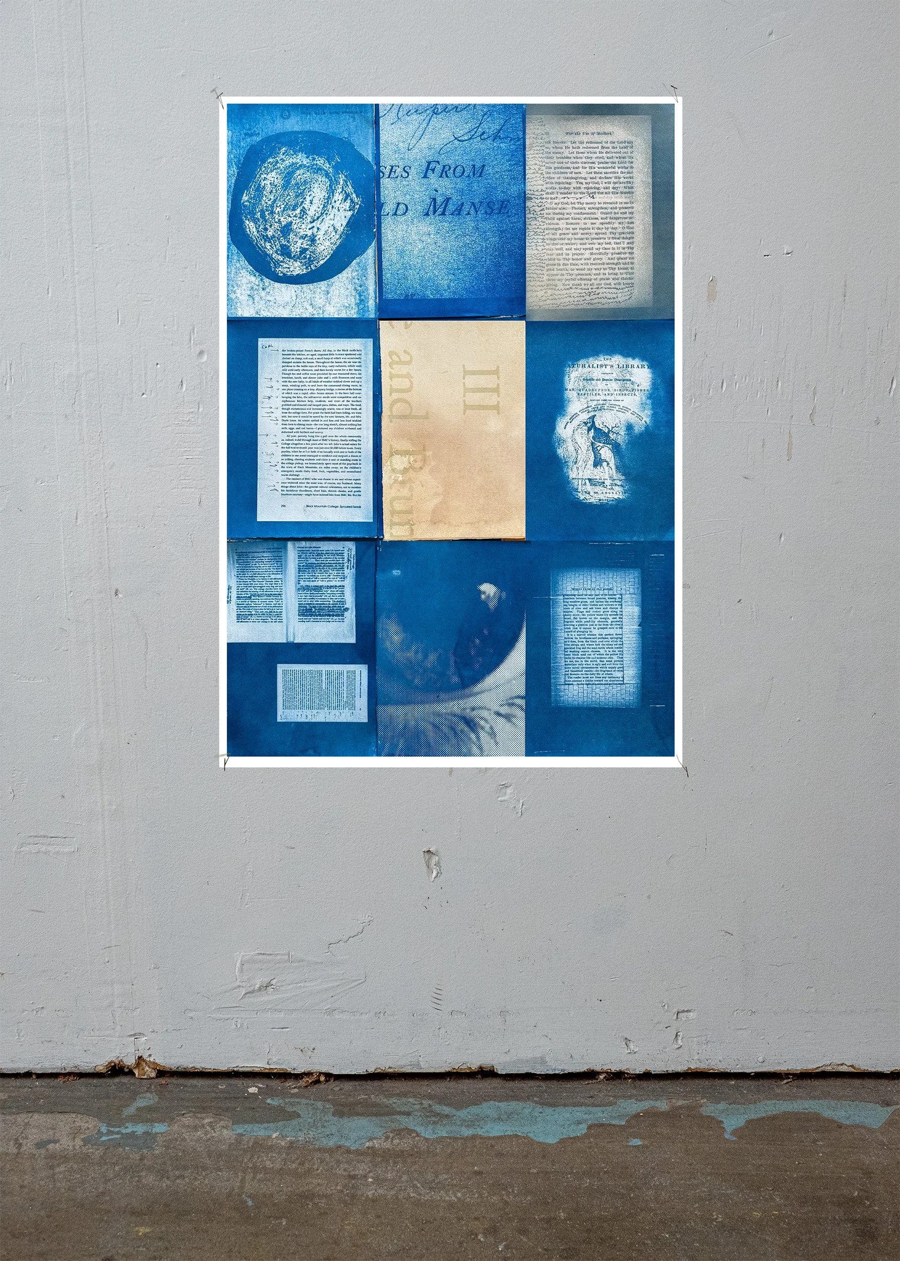 marginalia cyanotype prints in gallery2.jpg