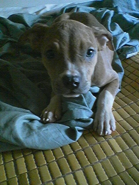 The first morning. She has been right next to her papa every morning since. 