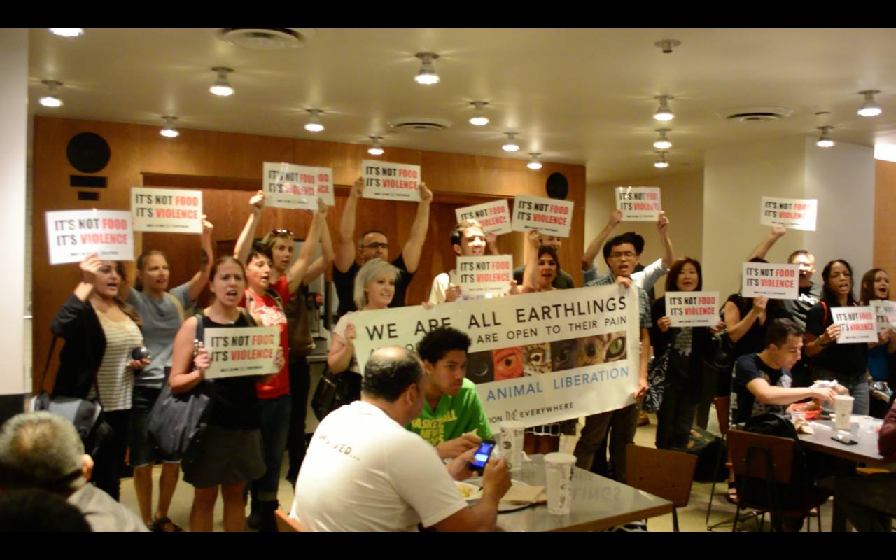 New York City had a great turnout, thanks to both the NY Farm Animal Save crew, and the SALDF at NYU Law. 