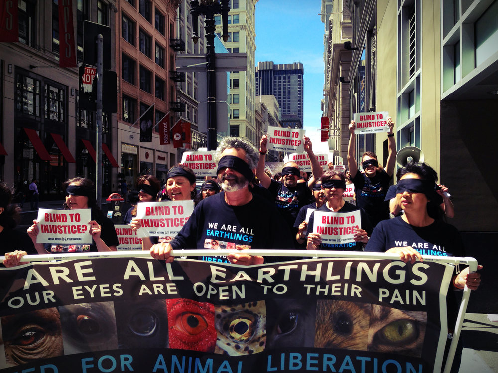 Thousands of activists across the world took to the streets as part of DxE's Earthlings March in August 2013. 