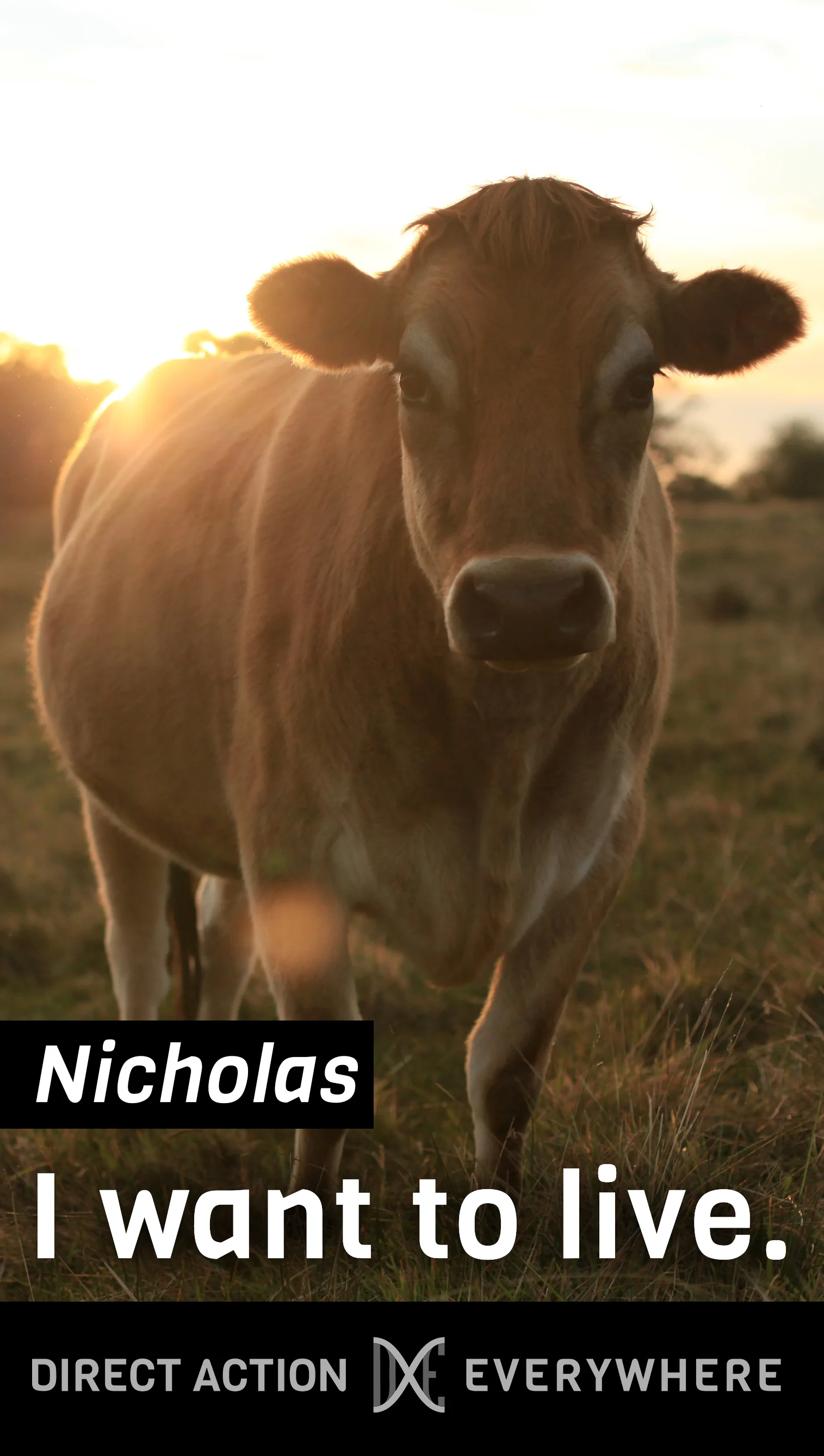 Nicholas