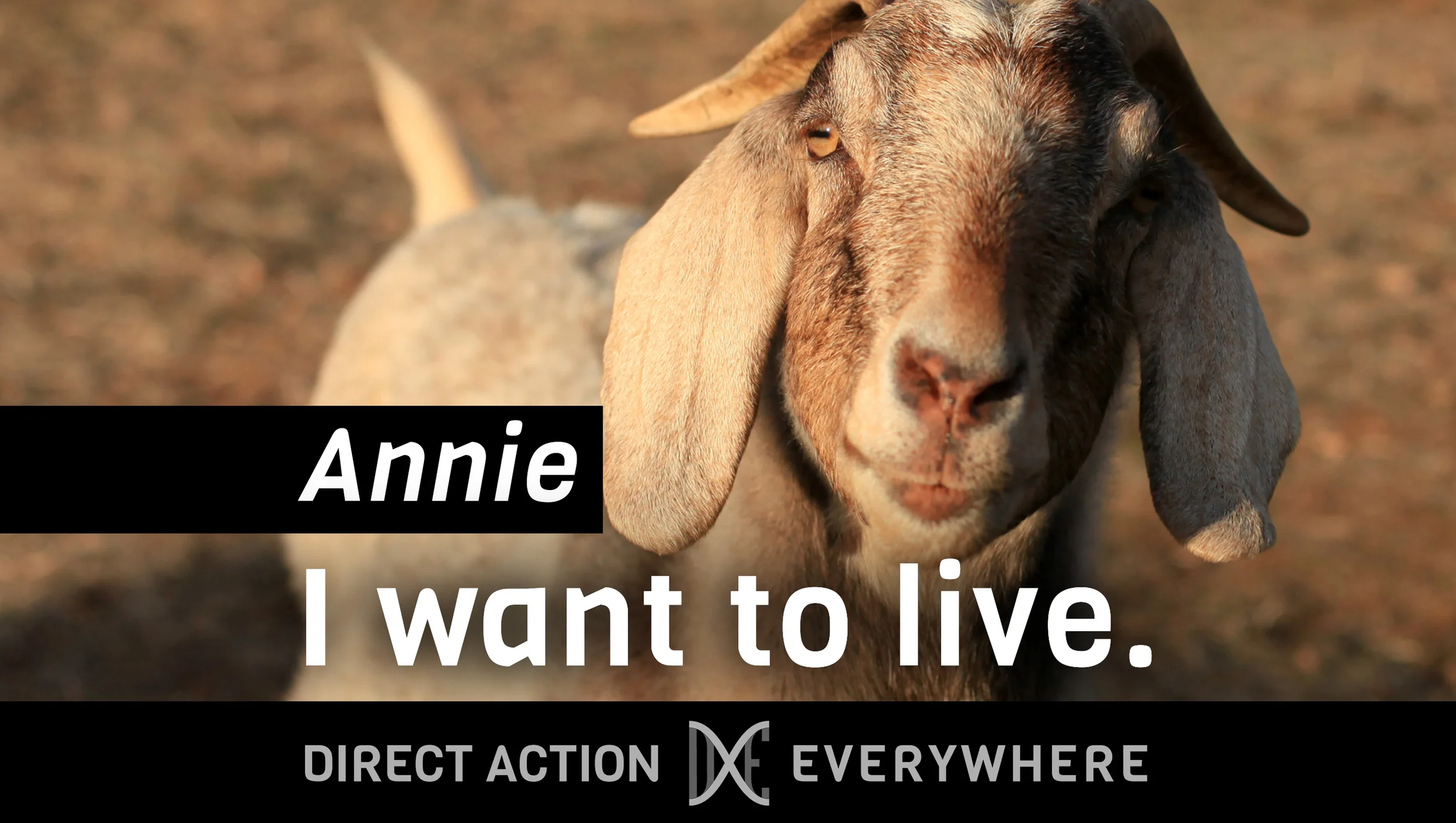 Annie