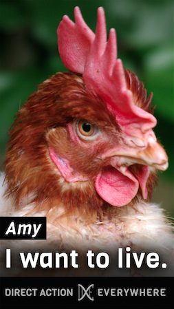 Amy