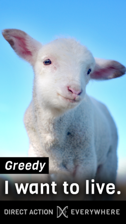 Greedy