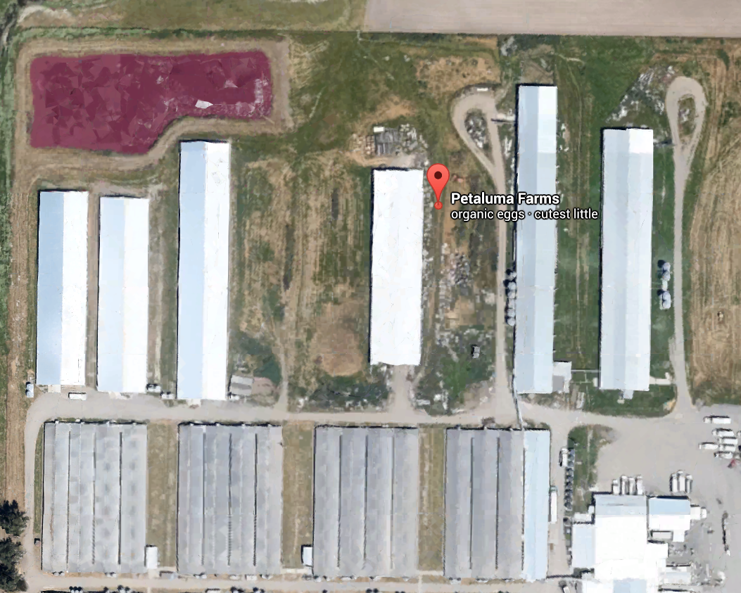 The imaging on Whole Foods's cartons shows green pastures. Google Earth reveals the truth: a massive industrial facility. Note the huge latrine pit in the top left (and compare it in size to the semi trucks in the bottom right). 