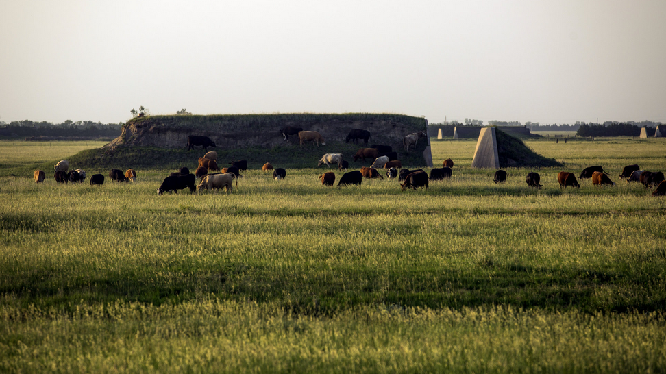 Images from the research center, such as the above, show far better conditions than even so-called "humane" farms. So why does the Times make the abuses within seem like unusual cruelties? 