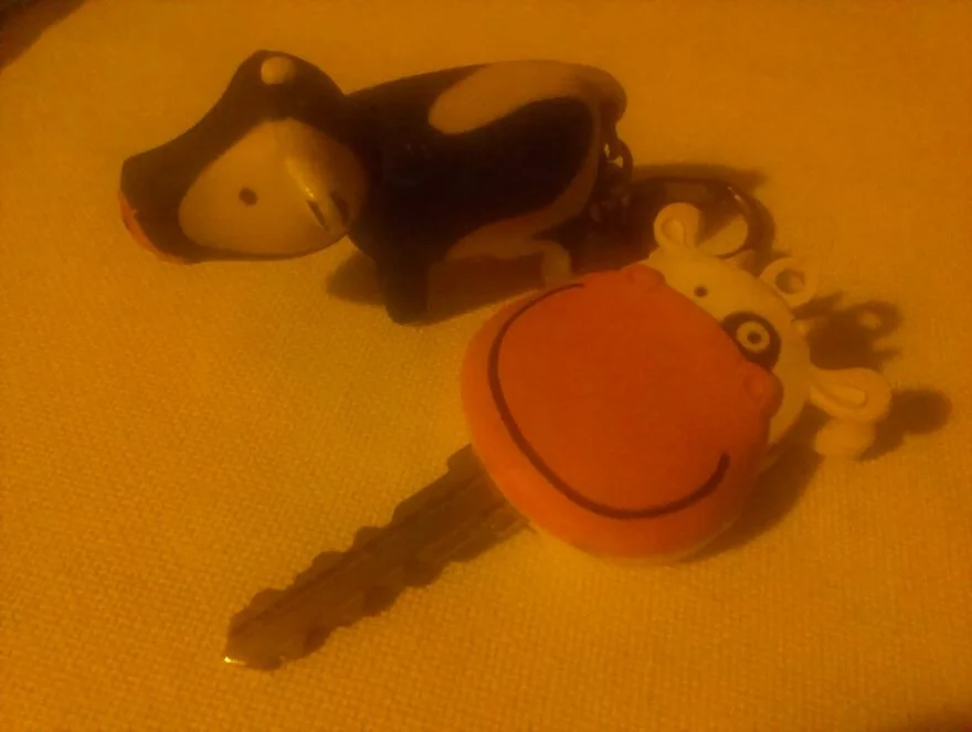 As an adult I moved away from the countryside, and I bought these two key chains to remind myself of my background. That was before I became an animal rights activist.