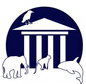 For years, the NhRP has endeavored to redefine personhood. On April 20th of this year, the group scored a major victory for the Animal Liberation Movement.