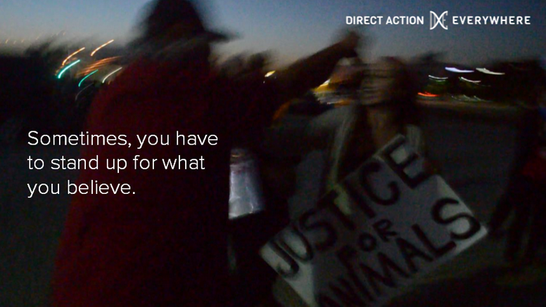 The attack on DxE activists in Southern California helped us build our confidence, perseverance, and solidarity. 
