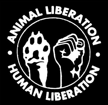 The raised fist to the right dates back to ancient Assyria, and has been used by many different human groups to signify solidarity and resistance in the face of violence. Its use above, in my view, honors those humans who have used it in the past rather than diminishing them.