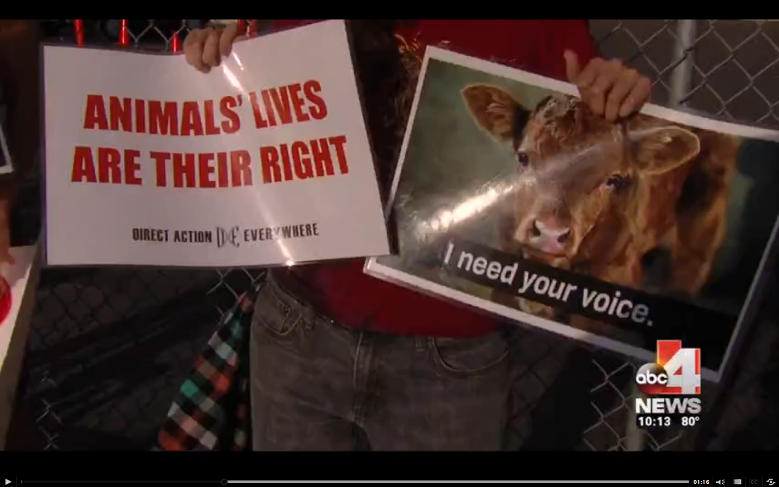 Pig Wrestling Draws Protestors At Utah County Fair