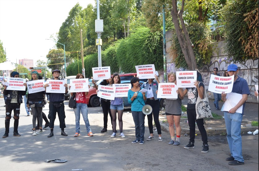 Left to right: Sujeto X, Jelly Mizery, Pako, Nut, Laura, Nelly, Perla, Marce, Fany, Kitty, and two more amazing activists!