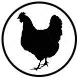 image 150.png