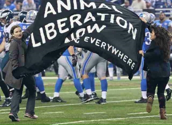 Eva Hamer and Rachel Golusinski dash onto the field with a banner that reads "Animal Liberation Now."