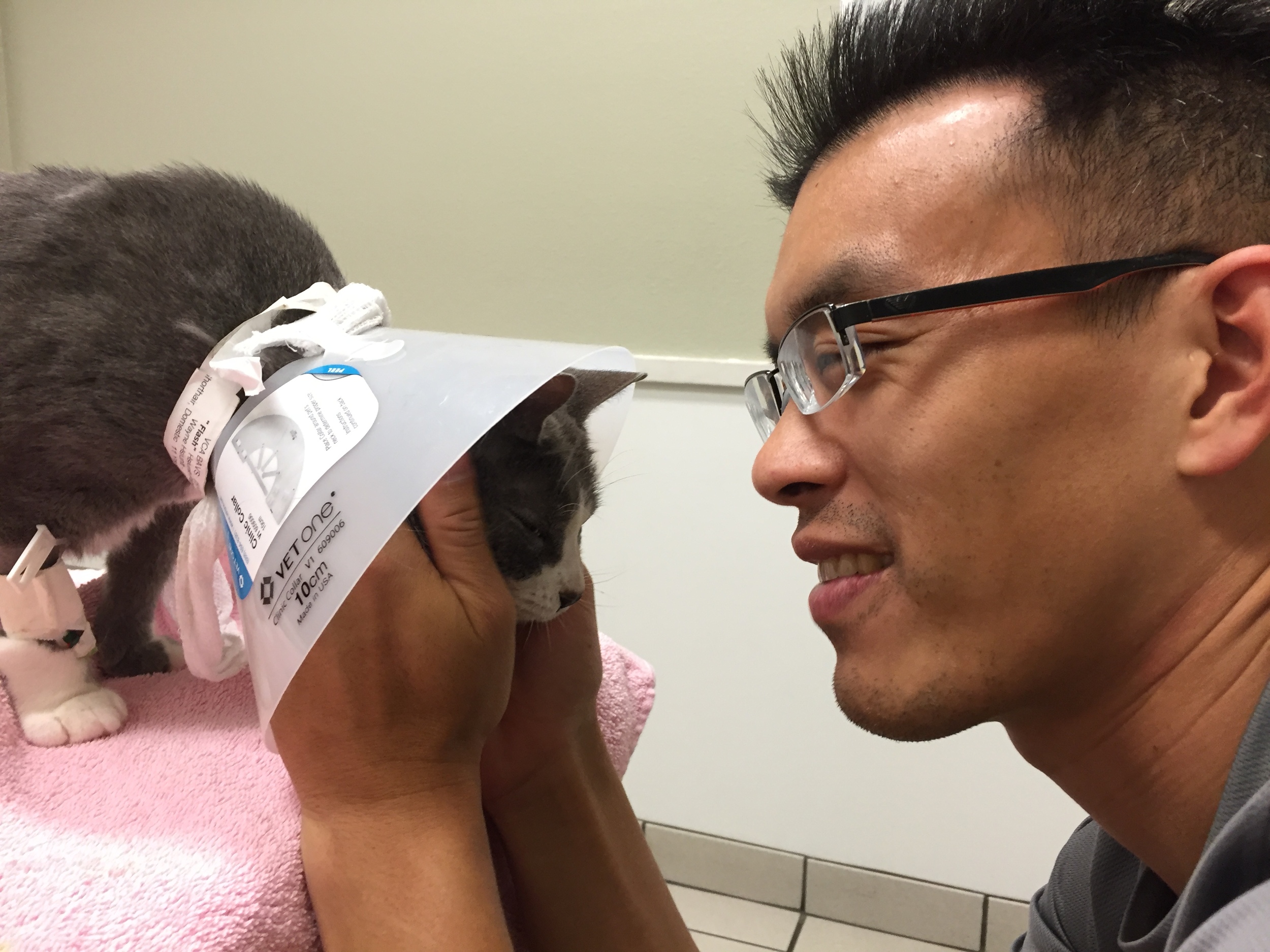 In Nov 2015, Flash was stricken by a mysterious illness. It was the last of many struggles in her 11-year life. 