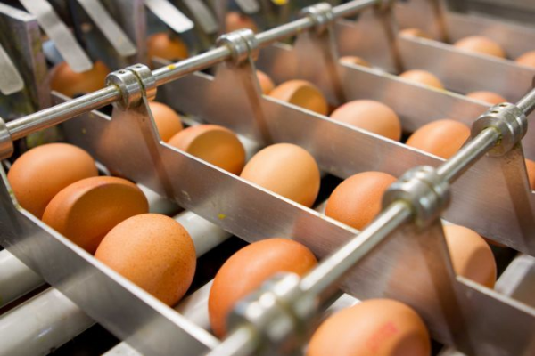 A recent analysis found that cage-free eggs cost 30 cents more per dozen to produce -- but retailers charged 86 cents more to consumers. The difference becomes profit that fuels the industry’s growth. 