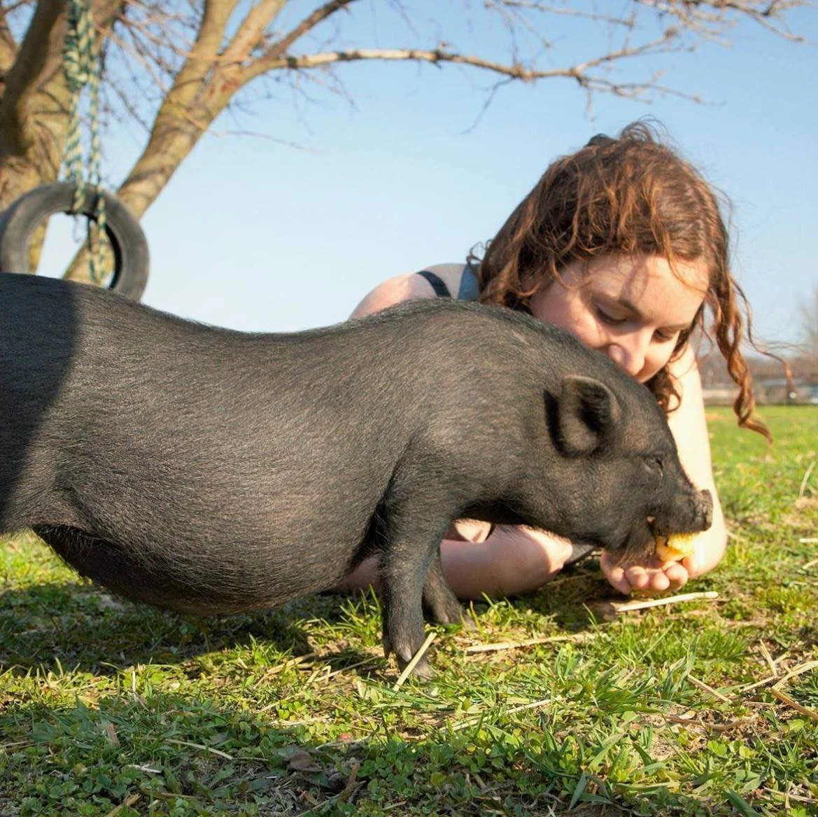 Activist Eva Hamer hanging out with a pig friend