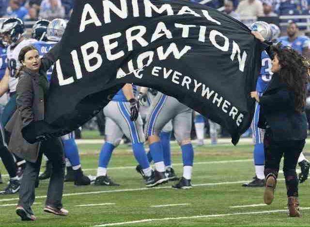 Eva and fellow activist Araceli Rodriguez run onto the field at the National Football League's famous "Turkey Bowl" with an "Animal Liberation Now" sign