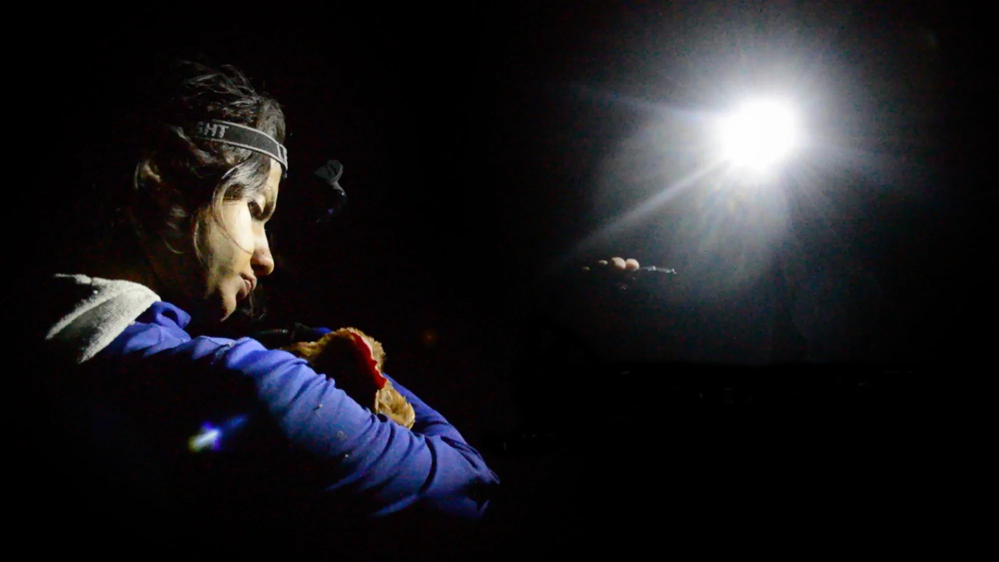  DxE released the first-ever investigation of a Certified Humane farm in America and rescued a dying hen named Mei Hua, January 2015. 